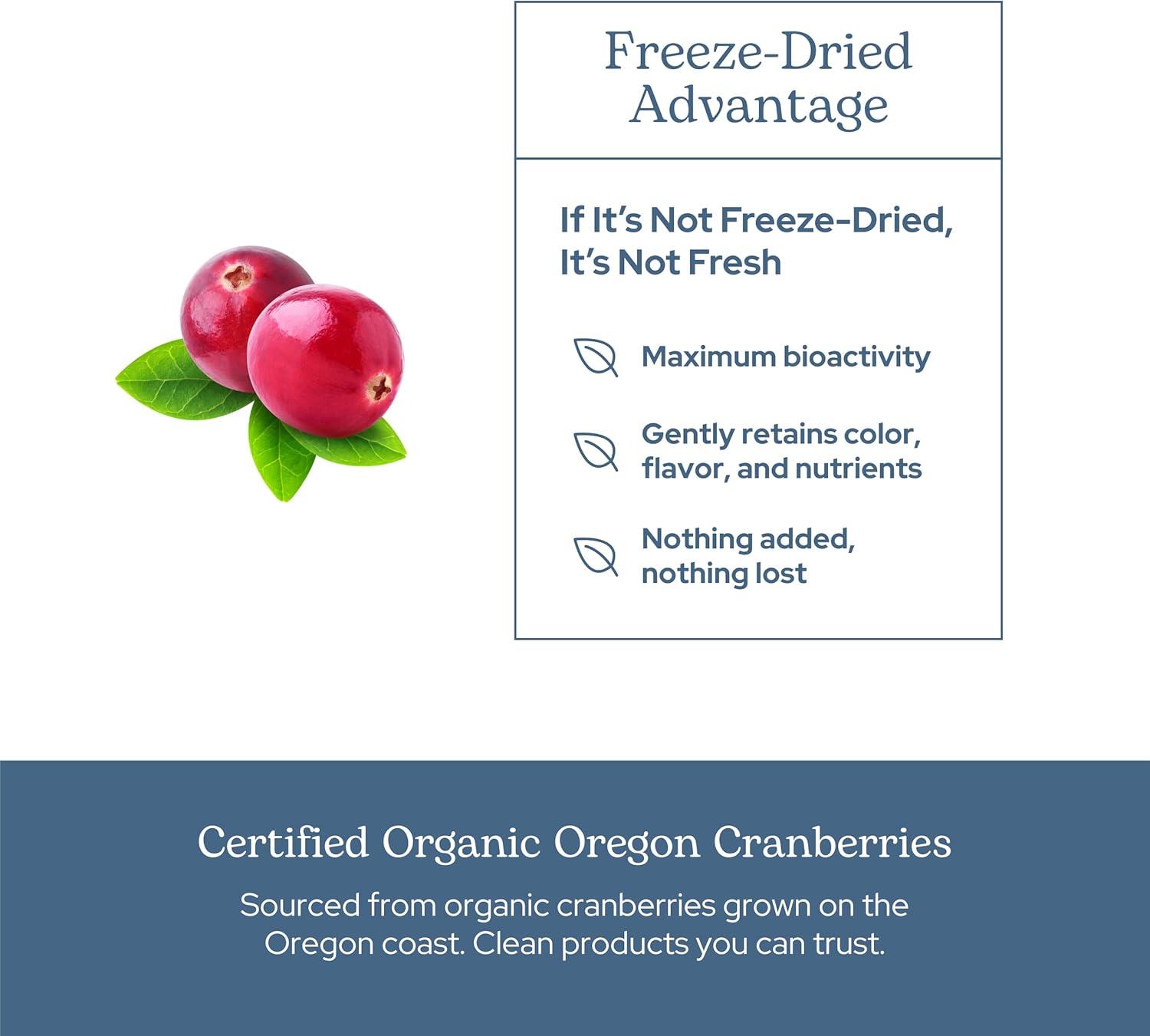 Eclectic Institute Raw Fresh Freeze-Dried Non-Gmo Cranberry | Urinary Tract Support | 90 Ct (300 Mg) : Health & Household