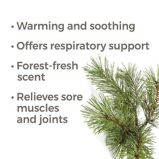Plant Therapy Scots Pine Essential Oil 30 Ml (1 Oz) 100% Pure, Undiluted, Therapeutic Grade