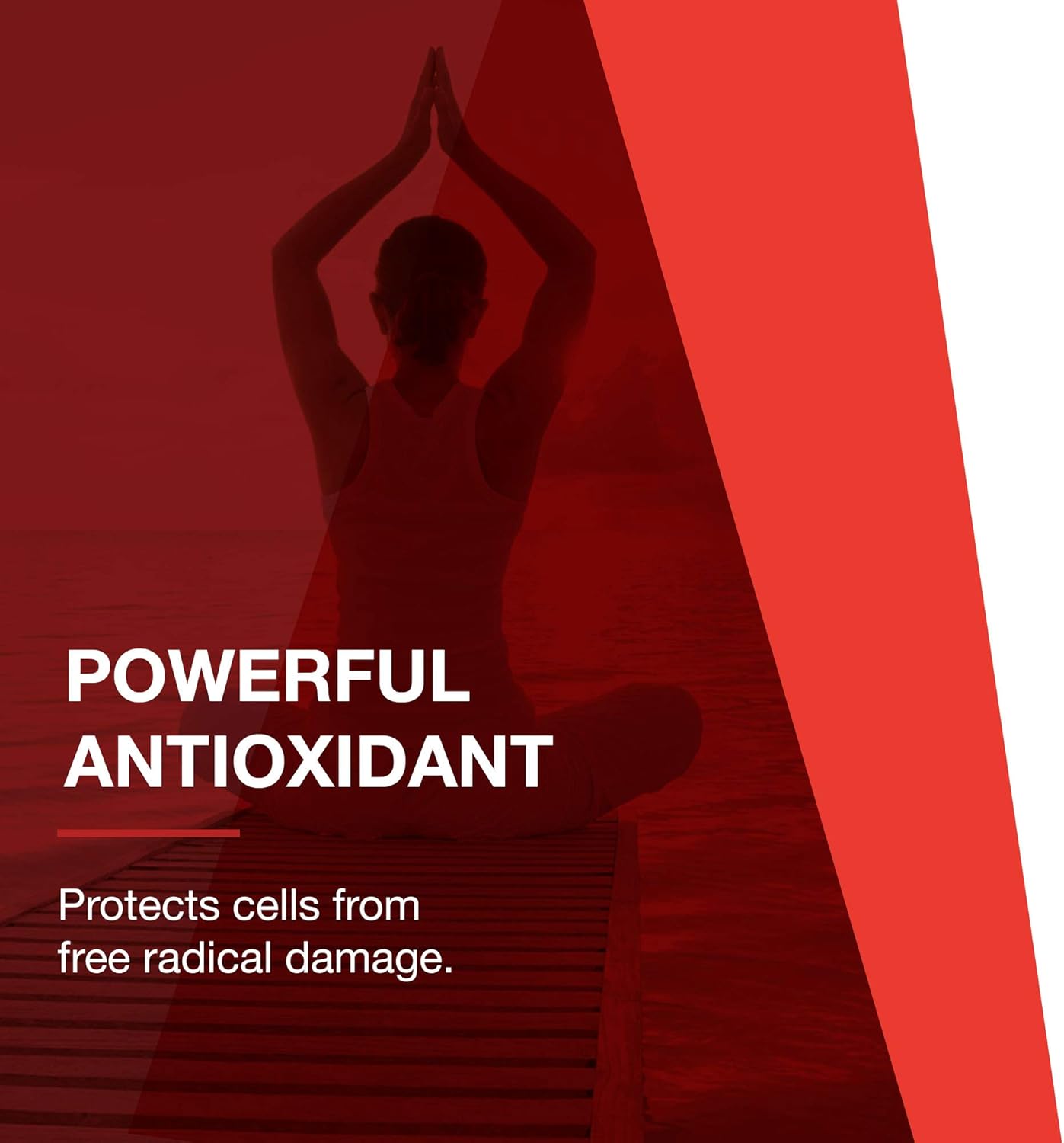 Protocol Astaxanthin 10mg Softgels - Supports Cellular Health* - Carotenoid Astaxanthin Supplements - Non-GMO & Dairy Free - 60 Softgels : Health & Household