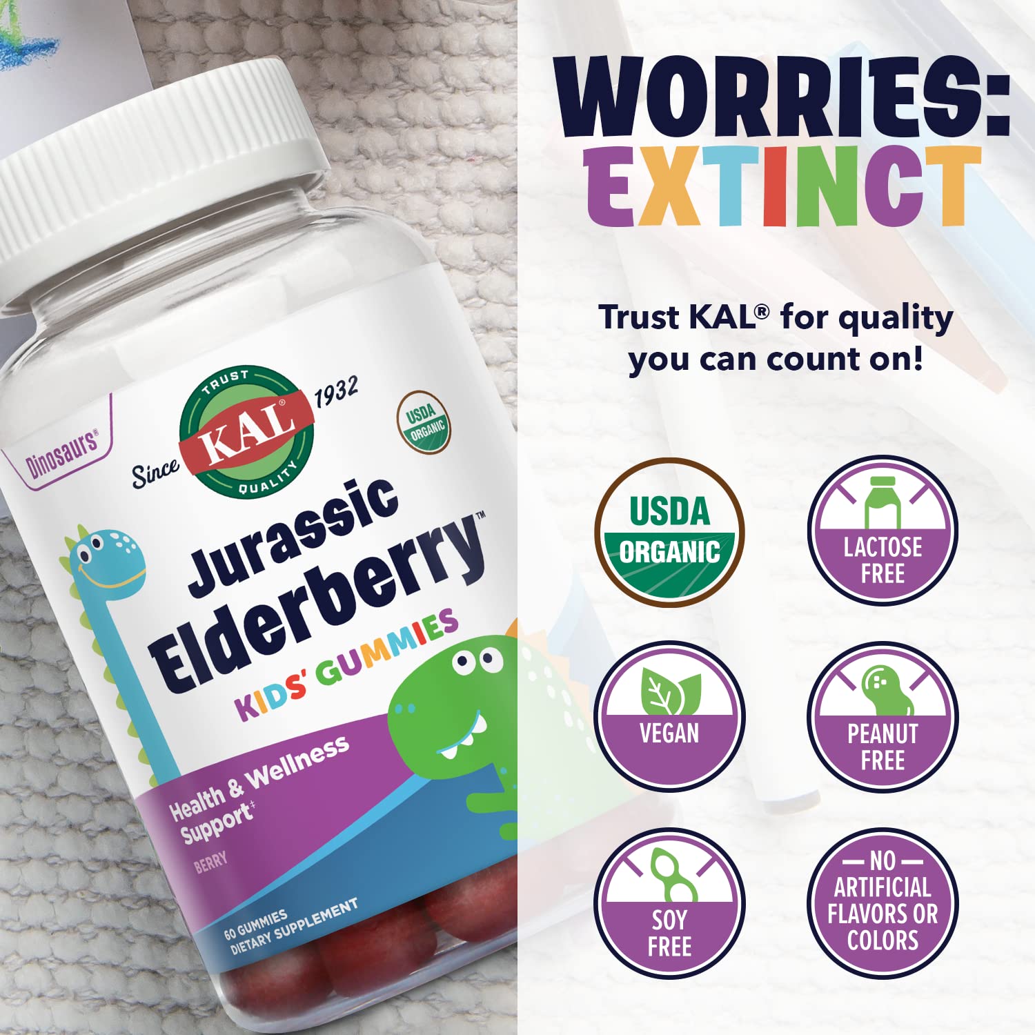 KAL Jurassic Elderberry Kids Gummies | Healthy Immune Support | USDA Organic, Vegan, Gluten Free | 30 Serv, 60 Ct : Health & Household