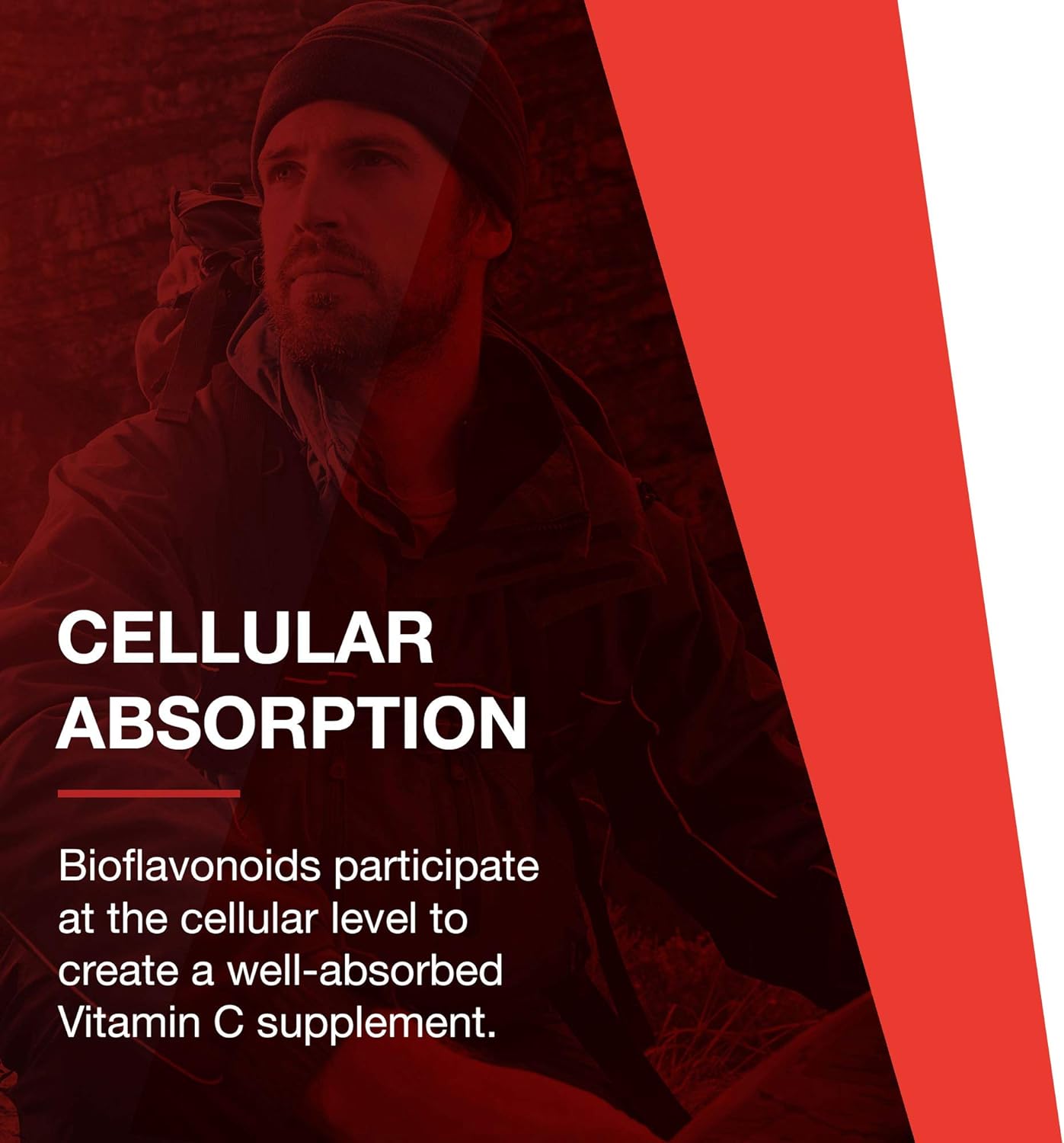 Protocol Protosorb C 500 - Highly Absorbable Vitamin C - for Immune System & Bone Health Supplement* - with Alpha-Lipoic Acid - Buffered, Non-Acidic Vitamin C - 100 Veg Caps : Health & Household