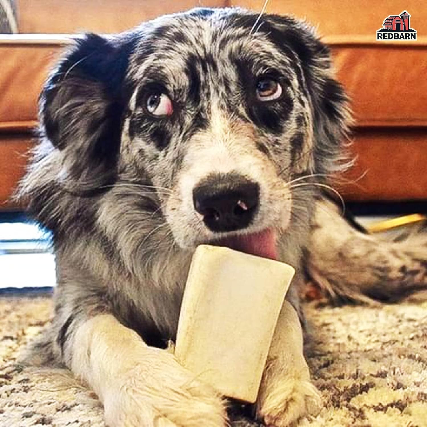 Redbarn Small Filled Dog Bones, Peanut Butter Flavor - Long Lasting Stuffed Femur Chew Treat Made in USA for Aggressive Chewers - Case of 20 Bones : Edible Pet Treats : Pet Supplies