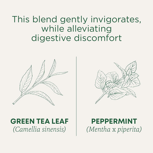 Traditional Medicinals Organic Green Tea, Peppermint, 16 Teabags (Pack Of 6)