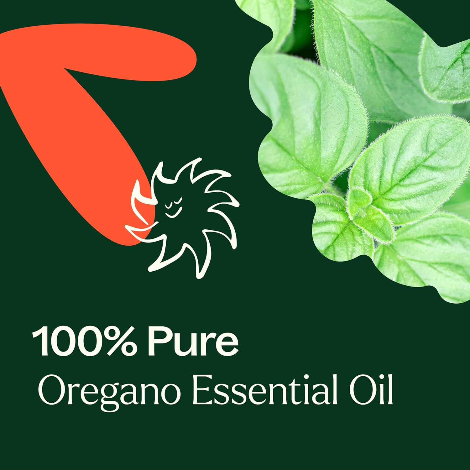 Plant Therapy Oregano Essential Oil 100% Pure, Undiluted, Natural Aromatherapy, Therapeutic Grade 10 mL (1/3 oz) : Health & Household