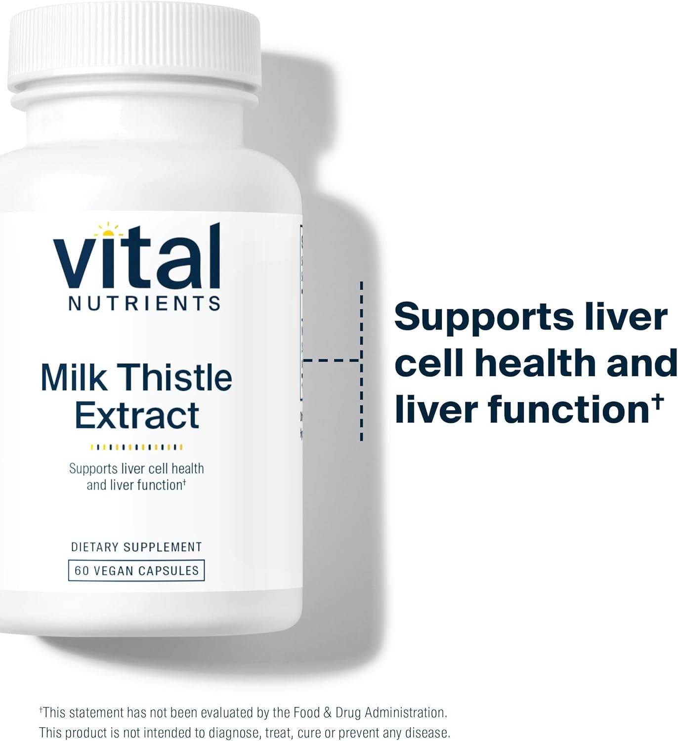 Vital Nutrients Milk Thistle Extract 250mg | Vegan Milk Thistle Supplement for Liver Function & Detox | Antioxidant Support for Glutathione Production | Gluten, Dairy, Soy Free | Non-GMO | 60 Capsules : Health & Household