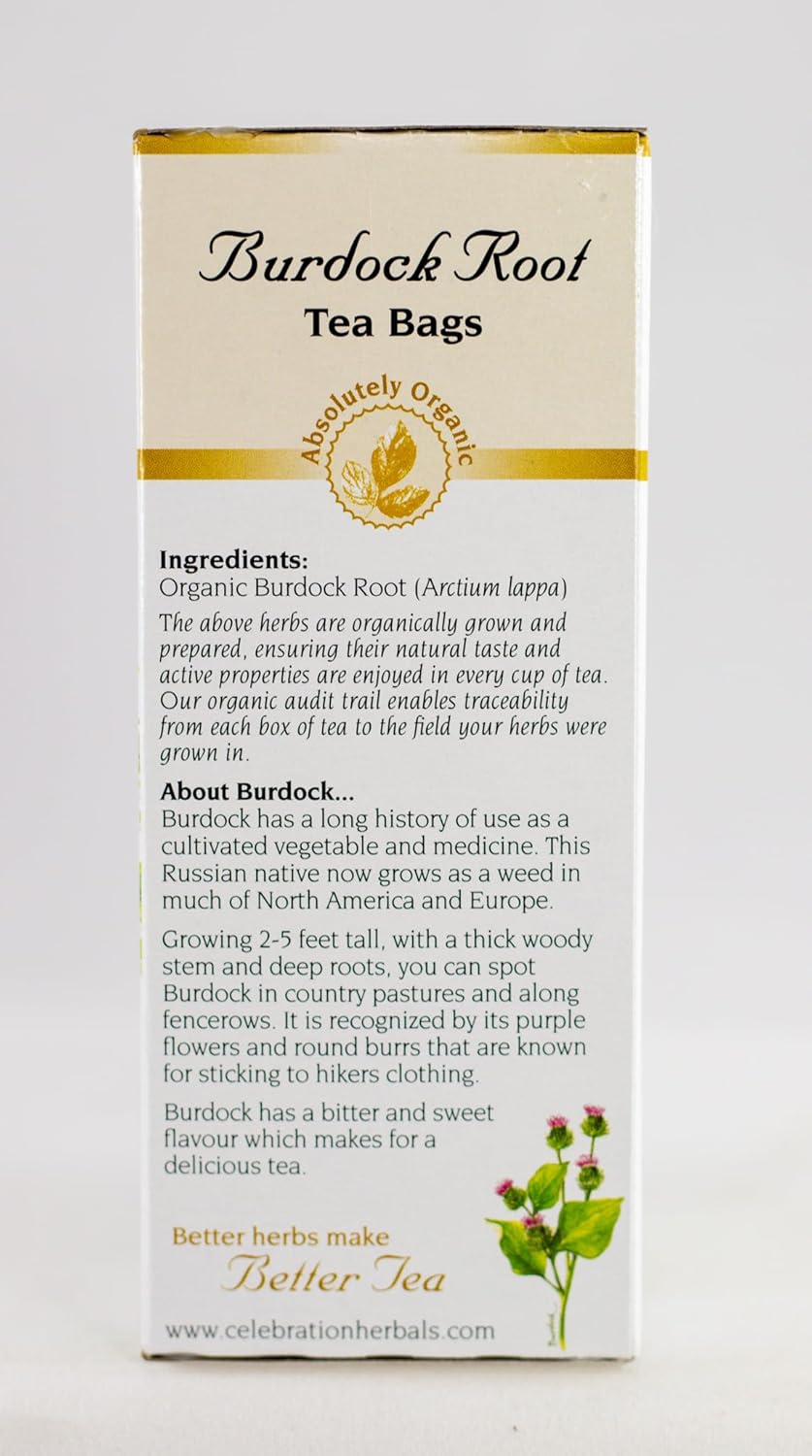 Celebration+Herbals%2C+Tea+Bags+Burdock+Root%2C+24+Count : Grocery & Gourmet Food