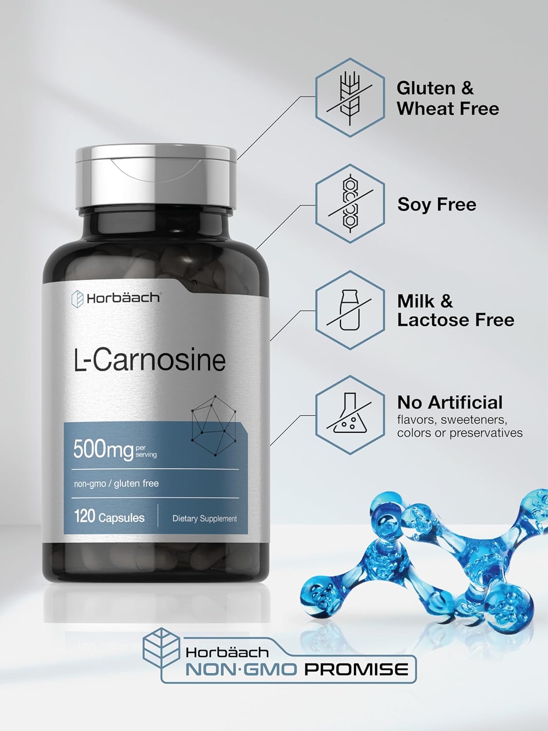 Horbäach L-Carnosine 500mg | 120 Capsule Supplement | Non-GMO & Gluten Free Powder Pills : Health & Household