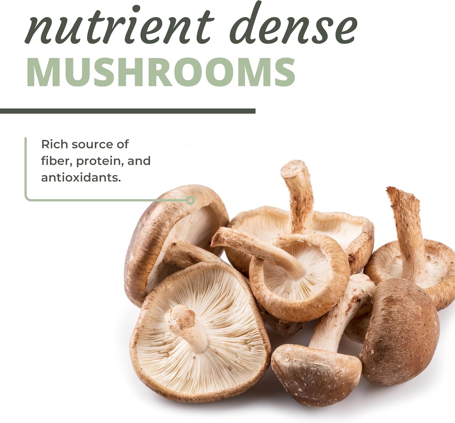Optimal Health Systems Essential Dak1K2 | Vitamin D3 + A + K1 + K2 Immune Support, Bone Health, & Heart Health | Vitamin D W/Mk-7 | 5000 Iu | (Non-Gmo, Whole Food, Gluten-Free) 60 Softgels : Health & Household