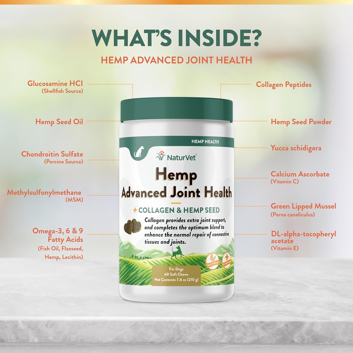NaturVet Hemp Advanced Joint Health Dog Supplement Plus Hemp Seed – Helps Support Joint Health in Dogs – Includes, Collagen, Glucosamine, MSM, Chondroitin, Omegas – 60 Ct. : Pet Supplies