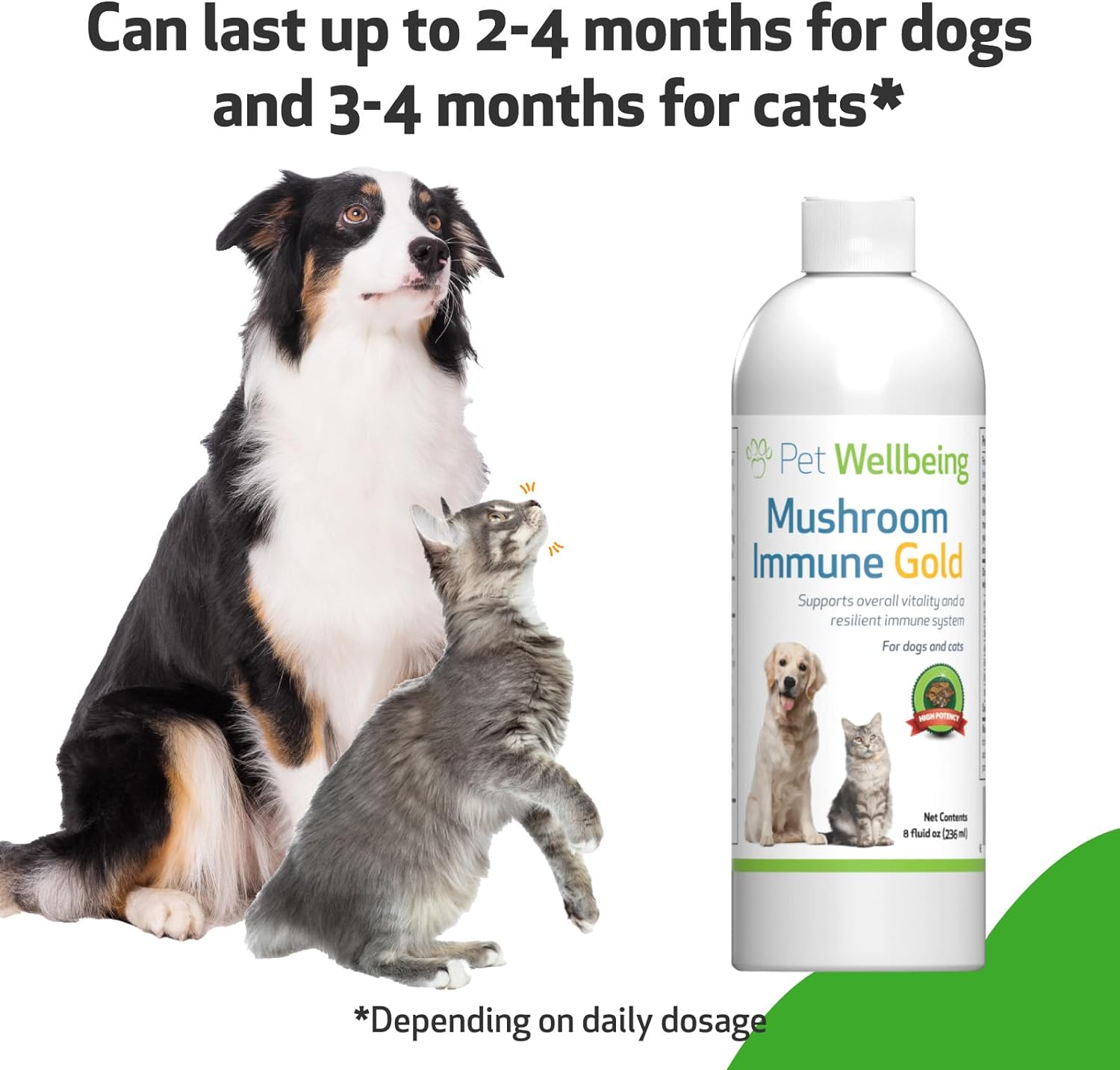 Pet Wellbeing - Mushroom Immune Gold - Natural Alternative Immune Support for Dogs and Cats - 8oz (237ml). : Pet Supplies