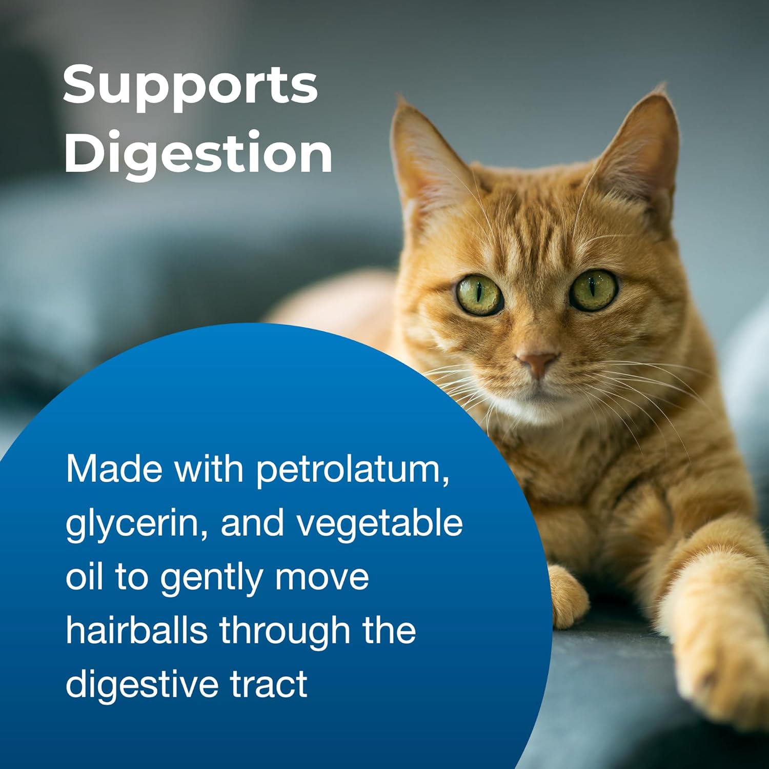 Pet-Ag Hairball Solution Gel Supplement for Cats - 3.5 oz, Pack of 2 - Helps Prevent and Reduce Hairballs in Cats 6 Months and Older : Pet Supplies