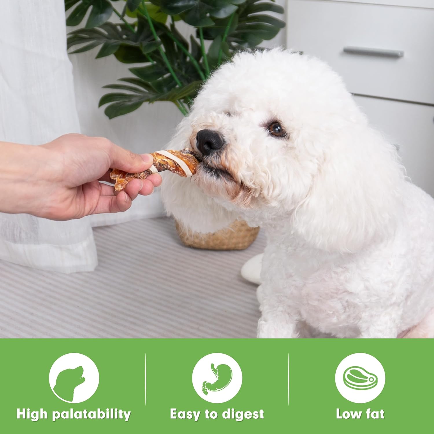MON2SUN Dog Treats, Triple Flavor Jerky Twist Sticks, 5-7 Inch Chicken Duck and Codfish Sticks Dog Chews for Small Dogs, Healthy Dog Snacks, 17.64 oz (25 Count-Pack of 1) : Pet Supplies