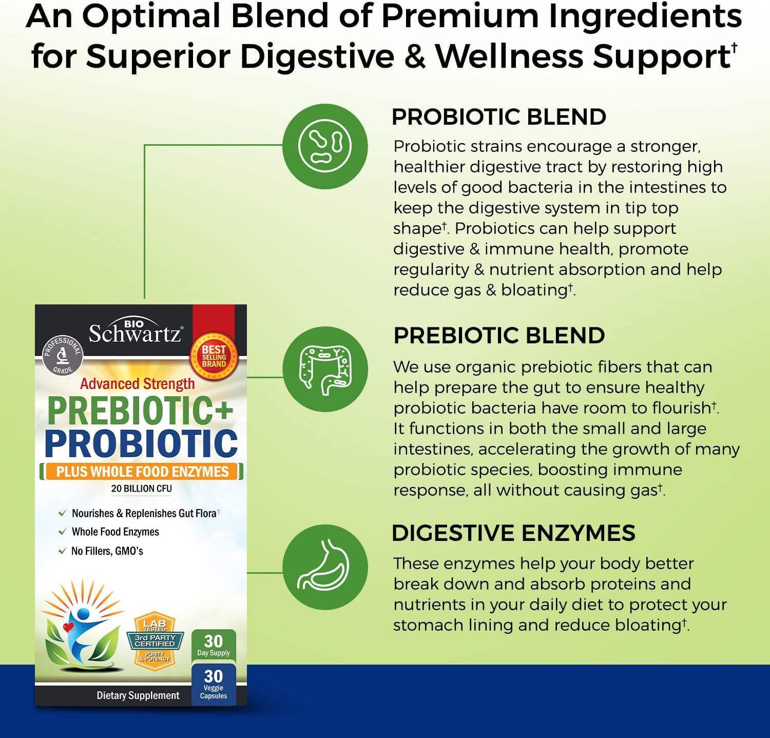 Prebiotics and Probiotic with Whole Food Enzymes for Adults Women & Men - Probiotics Lactobacillus Acidophilus - Digestive Health Capsules Shelf Stable Supplement - Non-GMO Gluten & Dairy Free -30ct