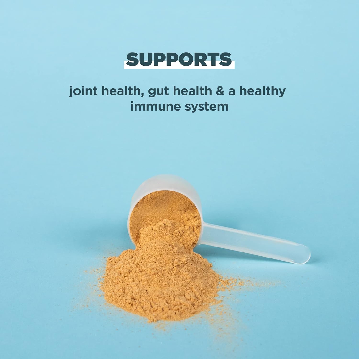 Ancient Nutrition Bone Broth Protein Powder, Chicken Soup, Grass-Fed Chicken And Beef Bone Broth Powder, 15G Protein Per Serving, Supports A Healthy Gut, 15 Servings : Health & Household