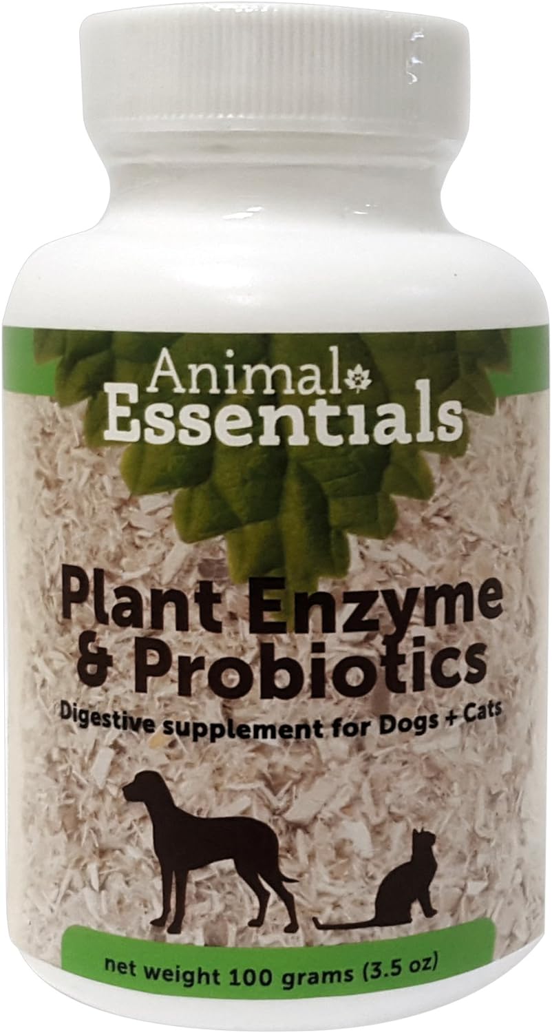 Animal Essentials Plant Enzymes & Probiotics Supplement, 100g : Pet Probiotic Nutritional Supplements : Pet Supplies