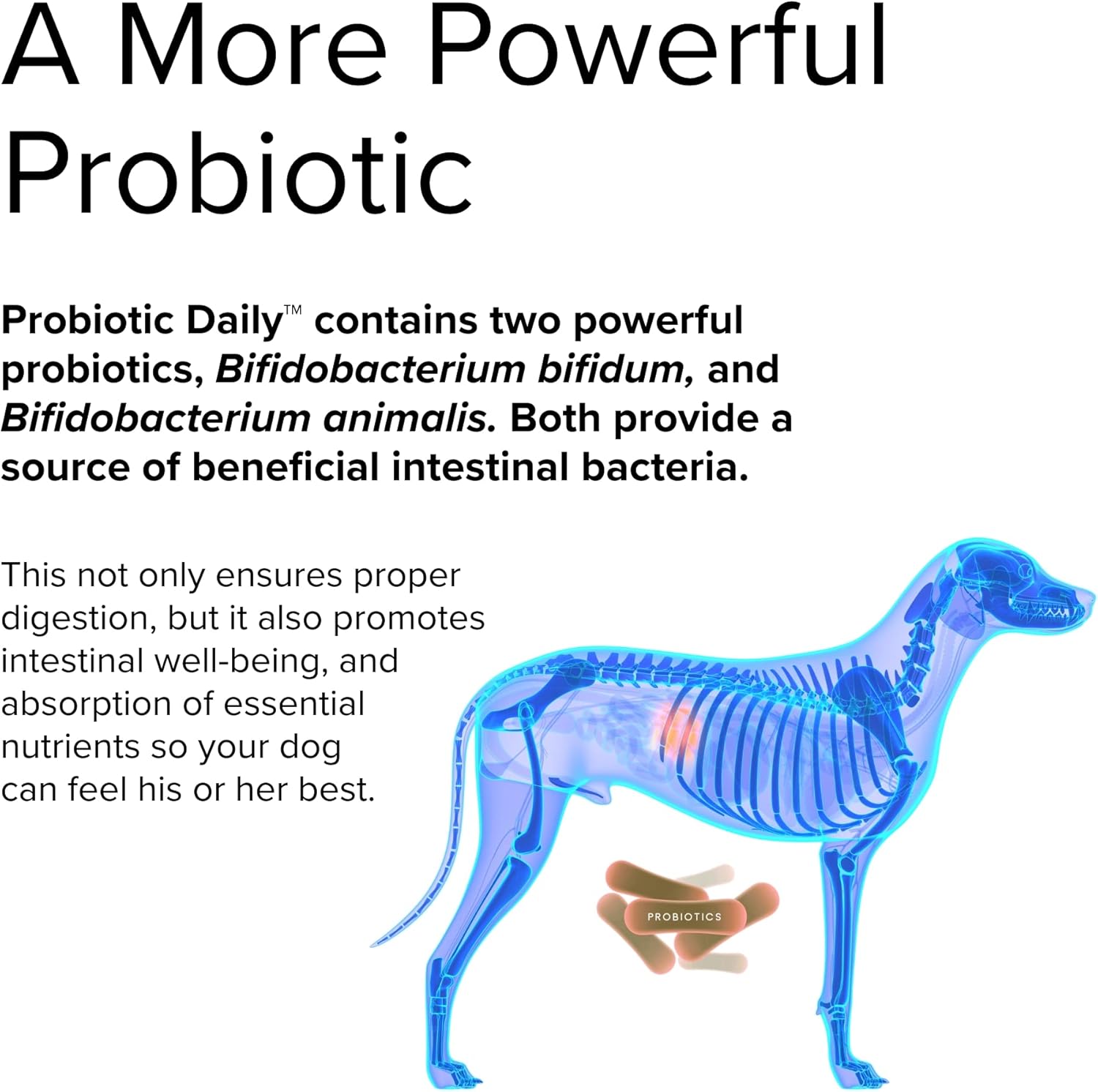 Terry Naturally Animal Health Probiotic Daily - 60 Chewable Tablets - Probiotics for Dogs, Beneficial Intestinal Bacteria to Maintain Healthy Gut Flora & Digestion - Canine Only - 60 Servings : Pet Supplies