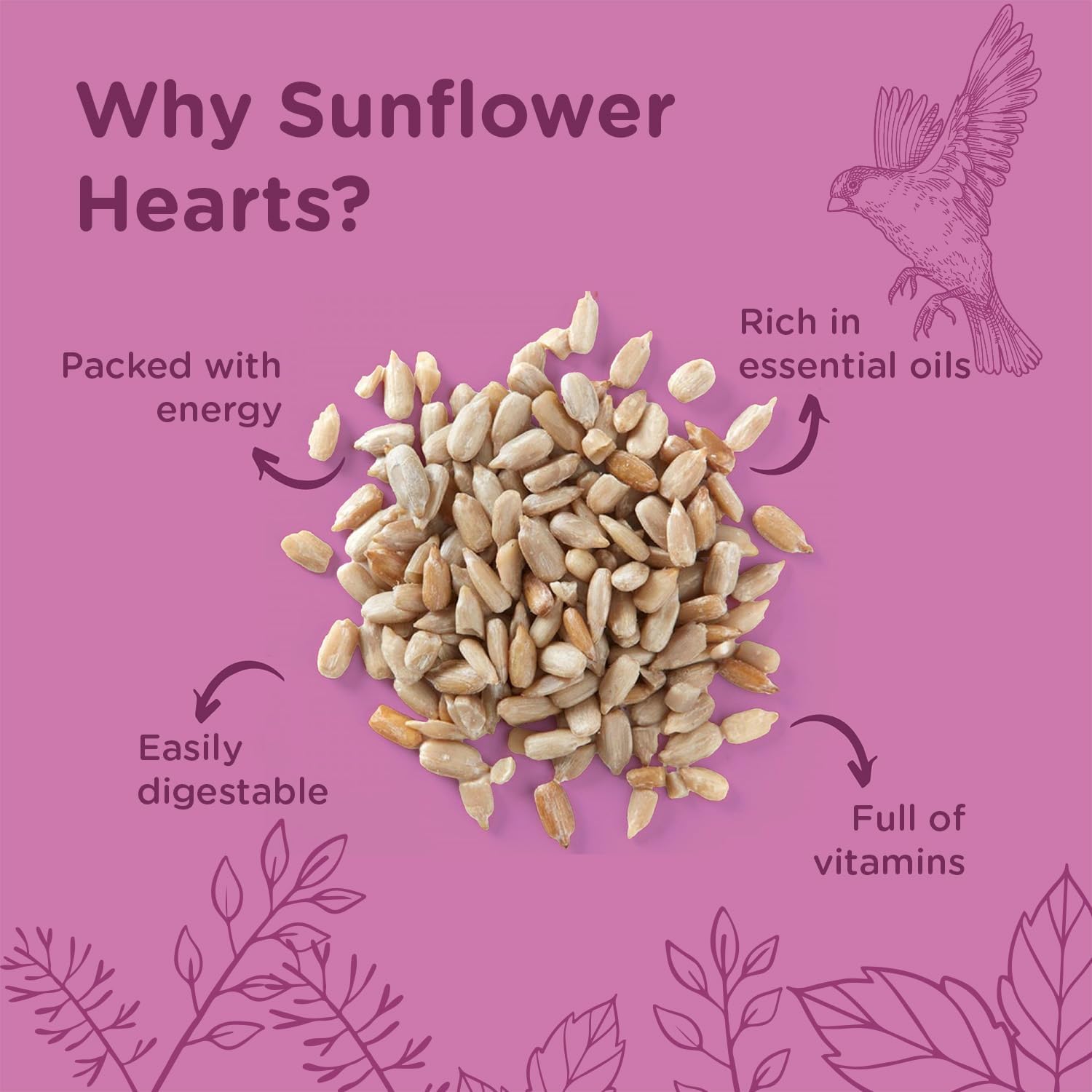 Extra Select Sunflower Hearts Bird Food - Husk-Free, Oil Rich, High Energy Wild Bird Seed for Year Round Feeding - 5 Litre Bucket :Garden