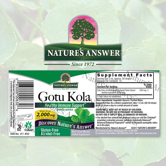 Nature's Answer Gotu Kola Herb Alcohol Free, 1-  | Dietary Supplement | Supports a Healthy Immune System | Made in The USA | Gluten-Free, Vegan & Vegetarian