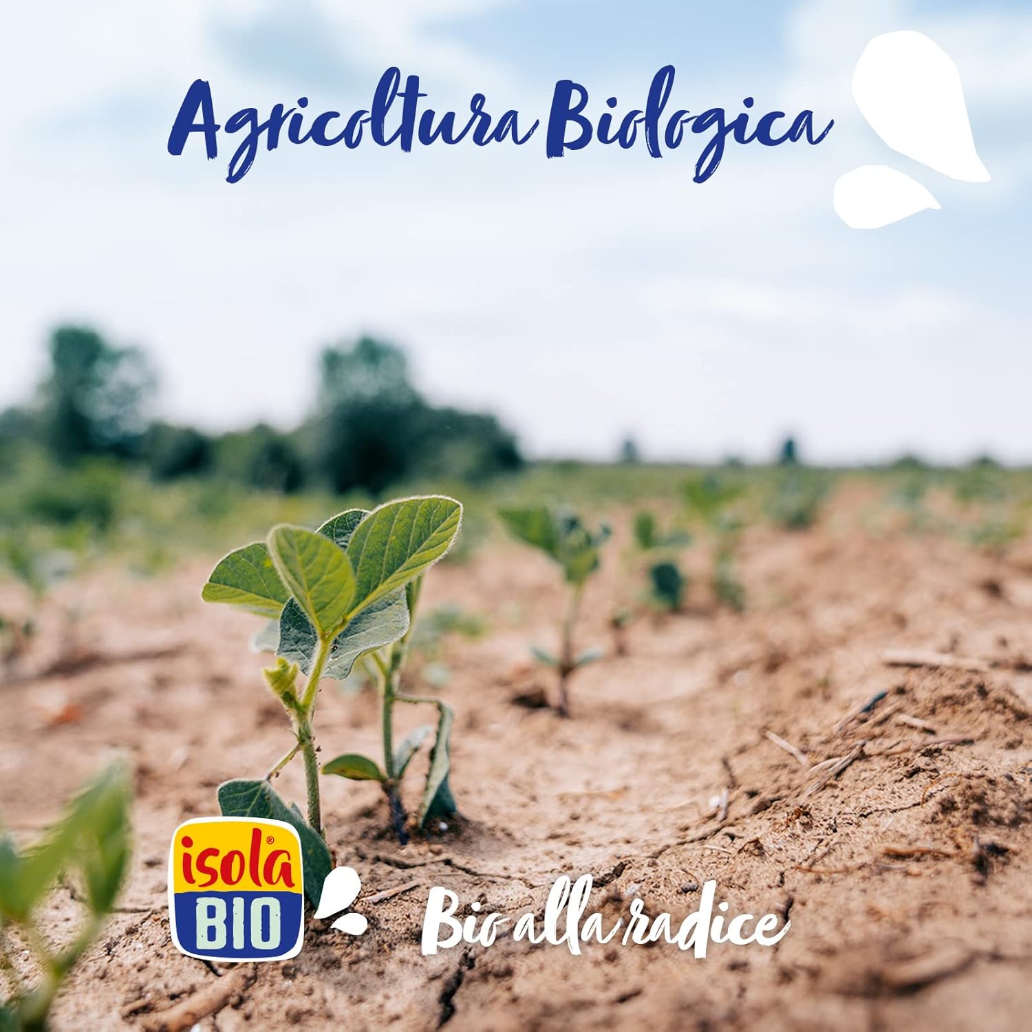 Isola Bio Organic Soya Drink 1000Ml