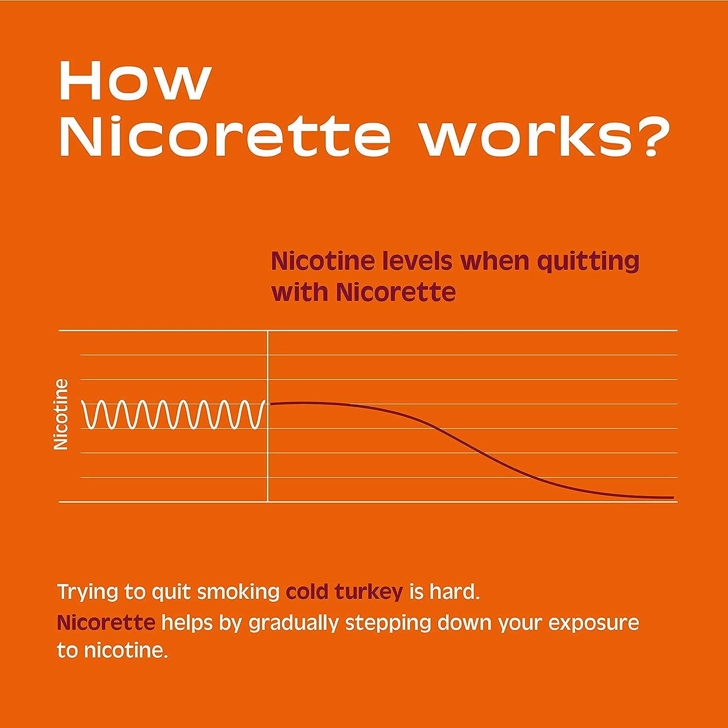 Nicorette 2 mg Nicotine Gum to Help Quit Smoking - Cinnamon Flavored Stop Smoking Aid, 1-Pack, 160 Count, Plus Advil Dual Action Coated Caplets with Acetaminophen, 2 Count : Health & Household