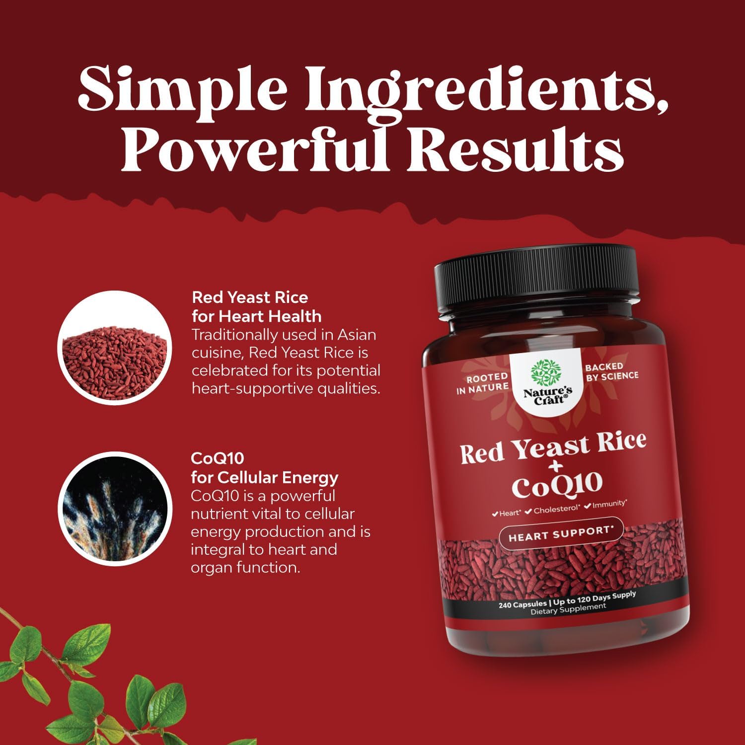 Red Yeast Rice with CoQ10 Supplement - Extra Strength Red Yeast Rice 1200 mg. Capsules with CoQ10 100mg Per Serving - Heart Health Supplement 3rd Party Tested Vegan Non-GMO & Citrinin-Free (4 Months) : Health & Household