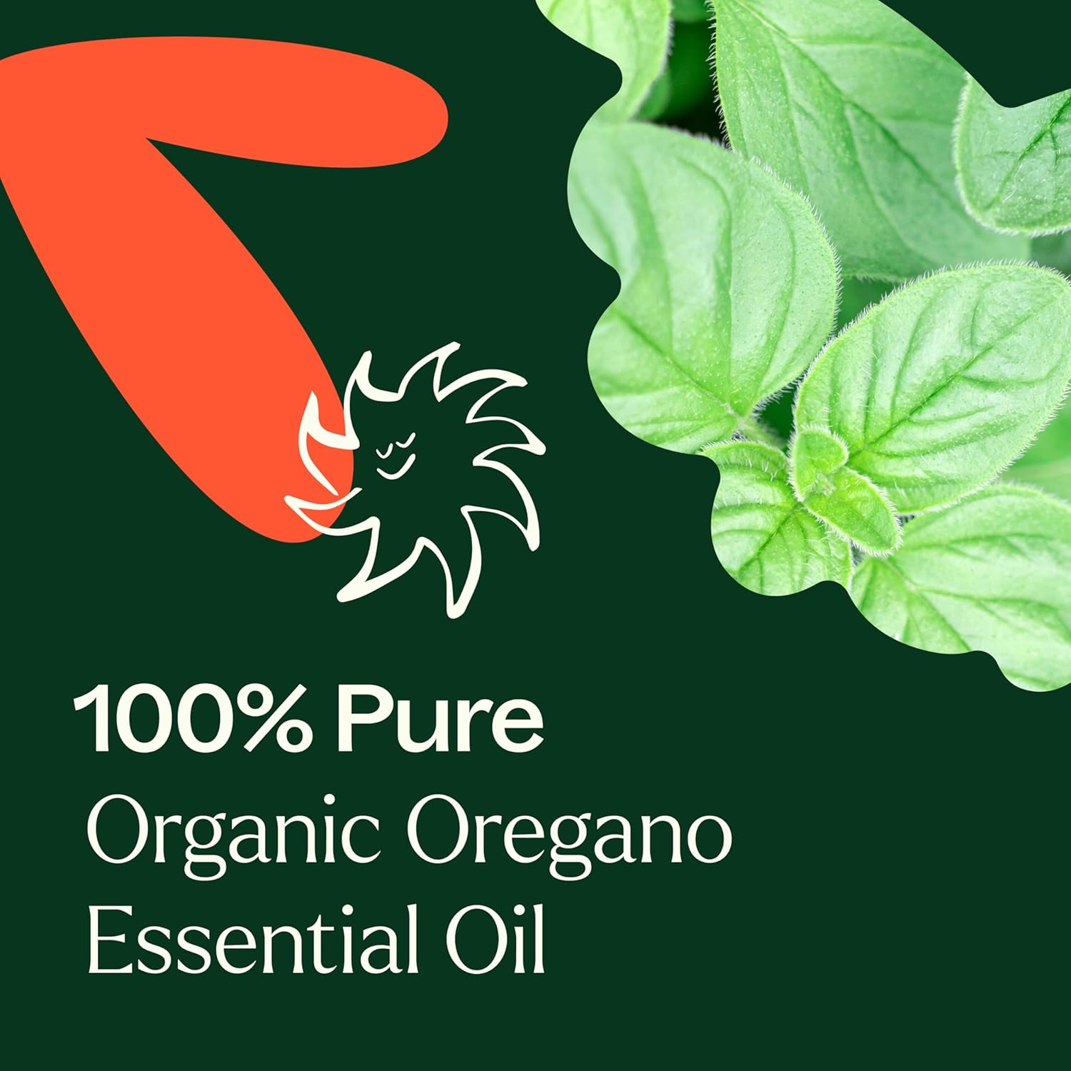 Plant Therapy Organic Oregano Essential Oil 100% Pure, USDA Certified Organic, Undiluted, Natural Aromatherapy, Therapeutic Grade 10 mL (1/3 oz) : Health & Household