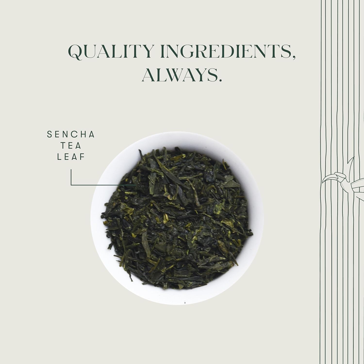 Luxmi Estates - Japanese Sencha Green Tea - 50G (25 Cups) | Authentic Japanese Sencha Tea By First Leaves | Mild, Rich & Refreshing Premium Tea