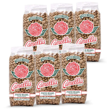Camellia Brand Dried Pinto Beans, 1 Pound (Pack of 6)