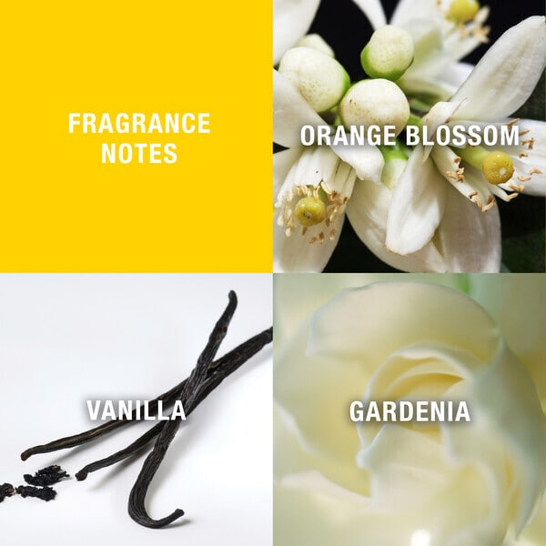Giorgio Beverley Hills Yellow Eau De Toilette 90Ml