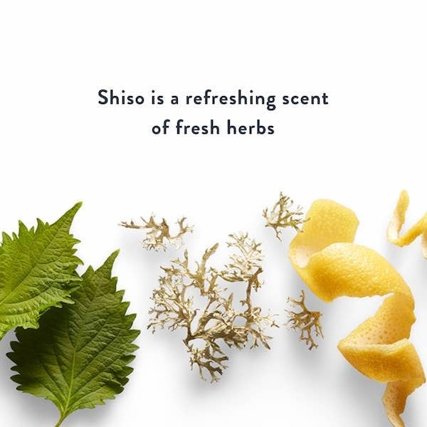 Harry'S Shower Gel - Fig 473Ml