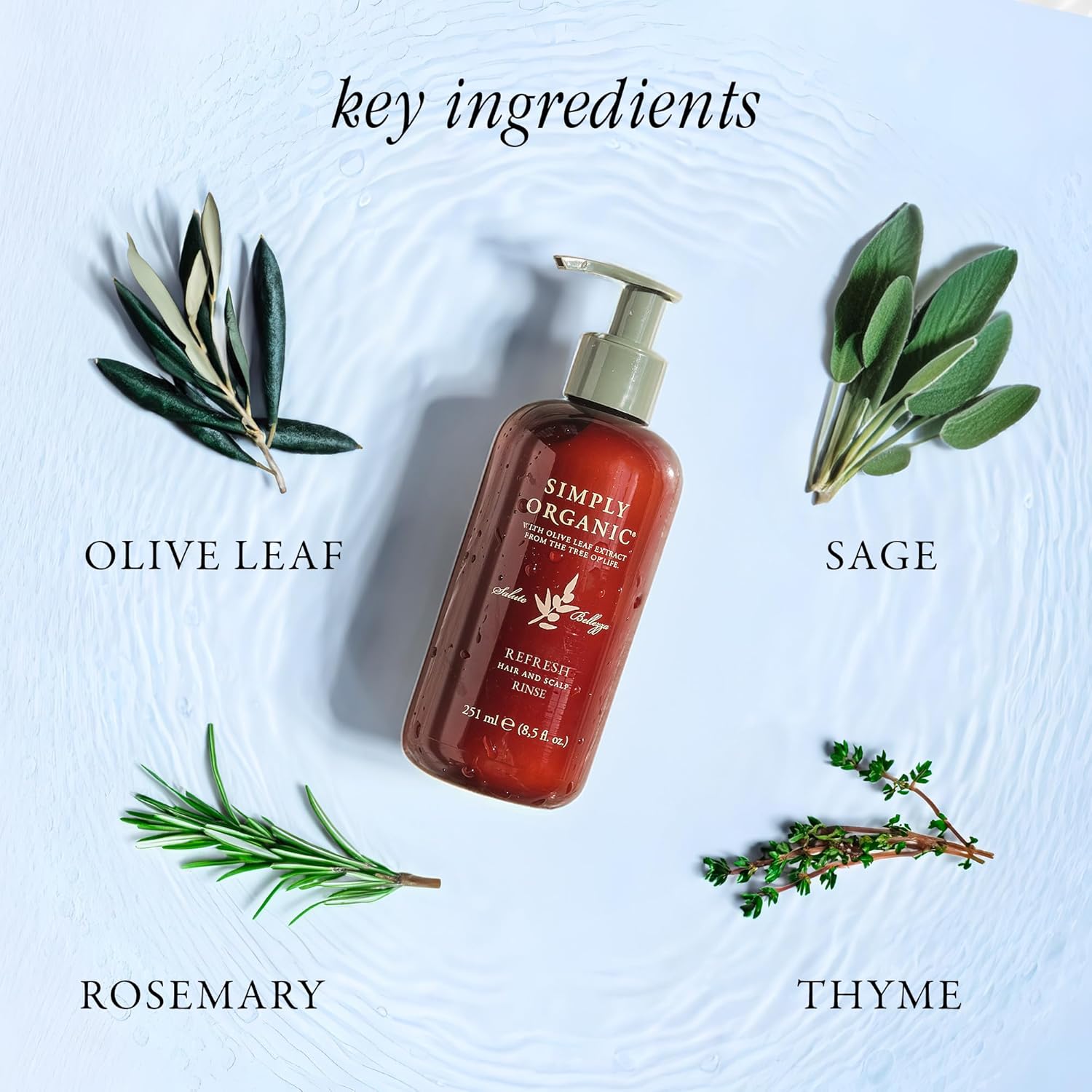 Made in Italy, All Natural Cruelty Free Hair Care for Women & Men, Hair Detox Clarifying Deep Conditioner Scalp Rinse, Rosemary, Sage & Olive Leaf Extract, PUMP NOT INCLUDED, 8.5 fl oz/251ml, REFRESH : Beauty & Personal Care