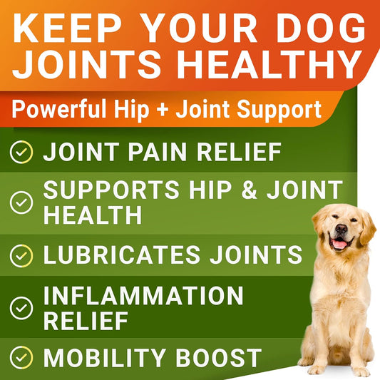 STRELLALAB Glucosamine Treats for Dogs - Joint Supplement w/Omega-3 Fish Oil - Chondroitin, MSM - Advanced Mobility Chews - Joint Pain Relief - Hip & Joint Care - Bacon Flavor - 240 Ct - Made in USA