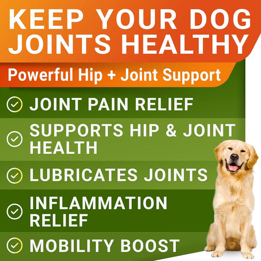 Strellalab Glucosamine Treats For Dogs - Joint Supplement W/Omega-3 Fish Oil - Chondroitin, Msm - Advanced Mobility Chews - Joint Pain Relief - Hip & Joint Care - Bacon Flavor - 240 Ct - Made In Usa