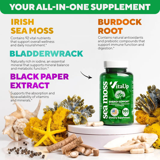 Wildcrafted Irish Sea Moss Capsules With Burdock Root & Bladderwrack - Usa Made Sea Moss Advanced For Hair, Skin, Immune & Energy Levels Support - Seamoss Pills - 100 Vegan Capsules