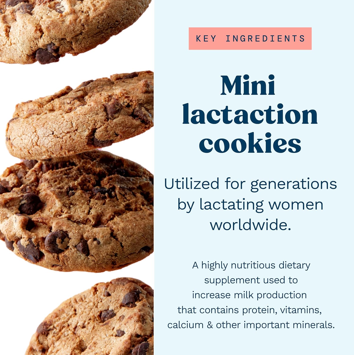 Lactation Cookies Breastfeeding Supplement - Chocolate Chip - Support Mothers Breast Milk Supply Increase - with Brewers Yeast Powder, Oat Flour, and Flax for Lactation - Fenugreek Free - 1.25 LBS : Grocery & Gourmet Food