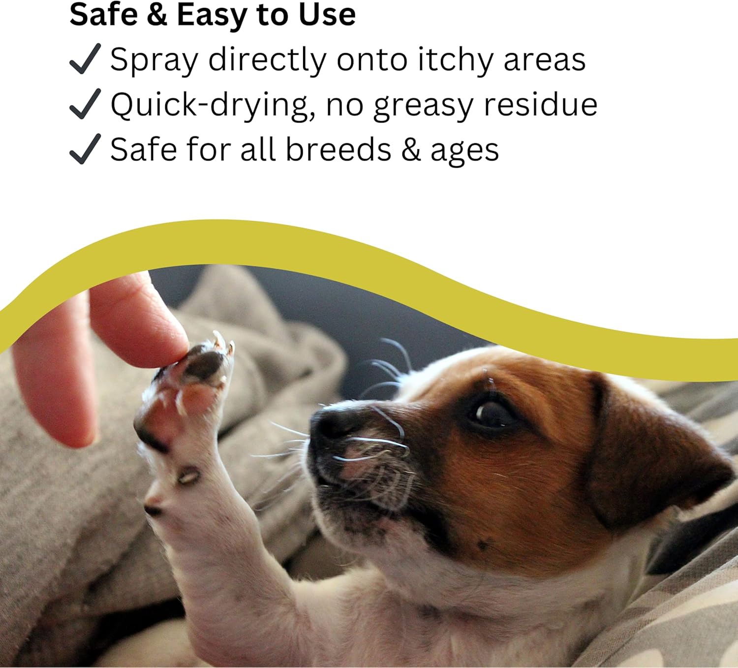 Natures Greatest Secret Antibacterial Soothing Itch Buster for Dogs 250ml : Amazon.co.uk: Pet Supplies