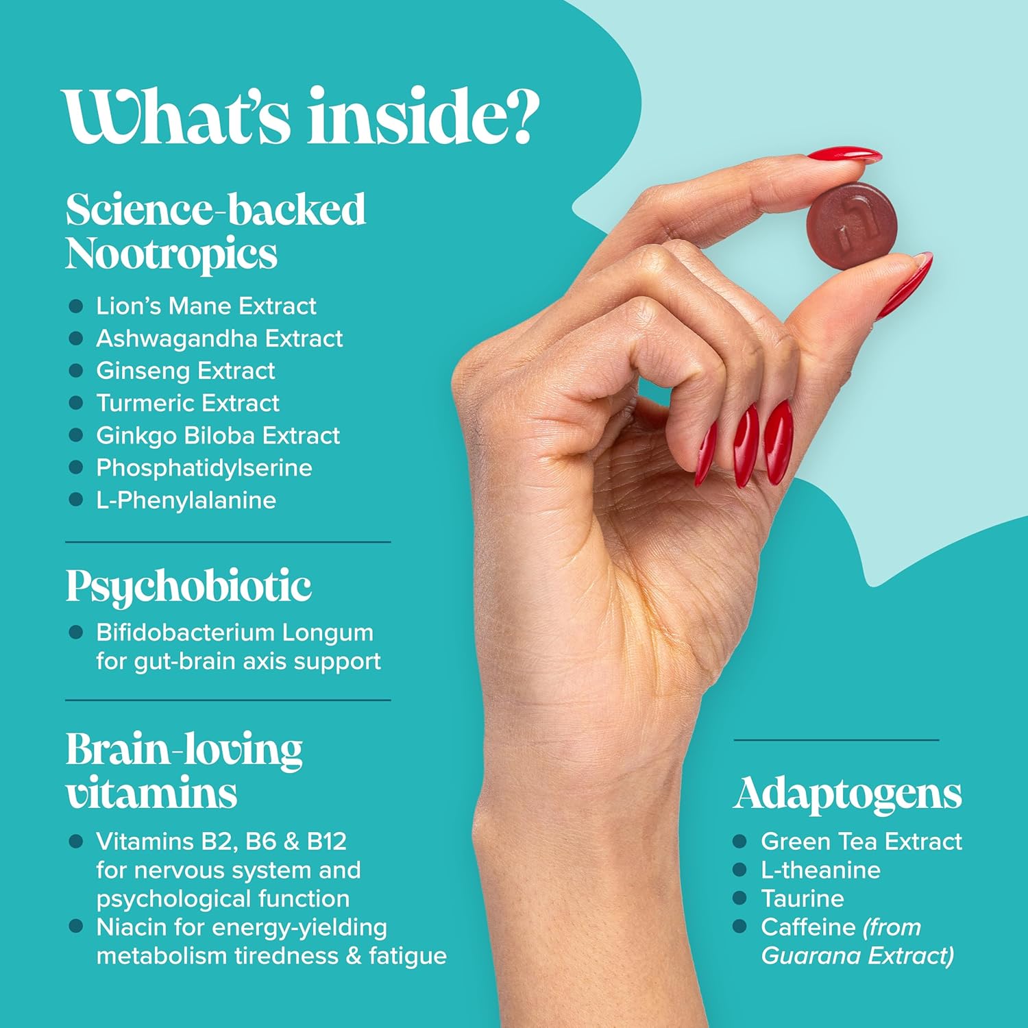 Focus Gummies - Ashwagandha, Lions Mane, Gingko Biloba, Vitamin B12 & Caffeine - 1-Month Supply - Focus, Memory & Energy Support - Gluten-Free Nootropics & Mushrooms - 60 Gummies - Novomins : Amazon.co.uk: Health & Personal Care