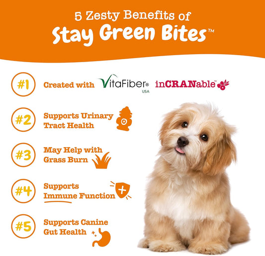 Zesty Paws Stay Green Bites For Dogs - Grass Burn Soft Chews For Lawn Spots Caused By Dog Urine - With Cranberry For Urinary Tract & Bladder - Beef - 90 Count