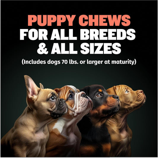 Bully Max 2-In-1 Puppy Soft Chews For Immunity & Growth - Puppy Dog Food Supplements And Vitamins For Health & Immune Support - Essential Dog Multivitamin For All Breeds, Small & Large Breed Puppies