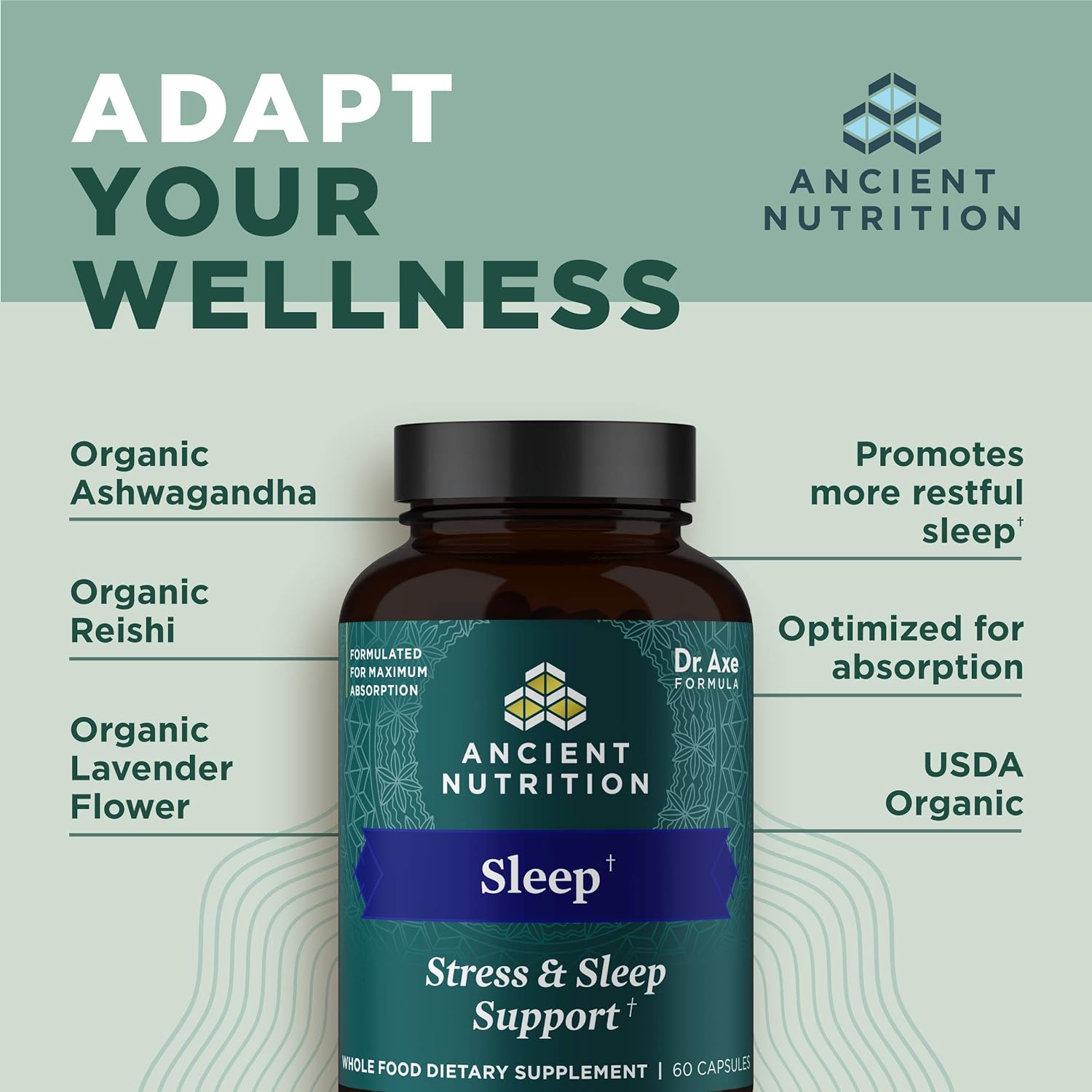 Ancient Nutrition Ashwagandha for Sleep Support, for Stress and Sleep Support, Promotes Mental Relaxation, Gluten Free, Paleo and Keto Friendly, 60 Capsules : Health & Household