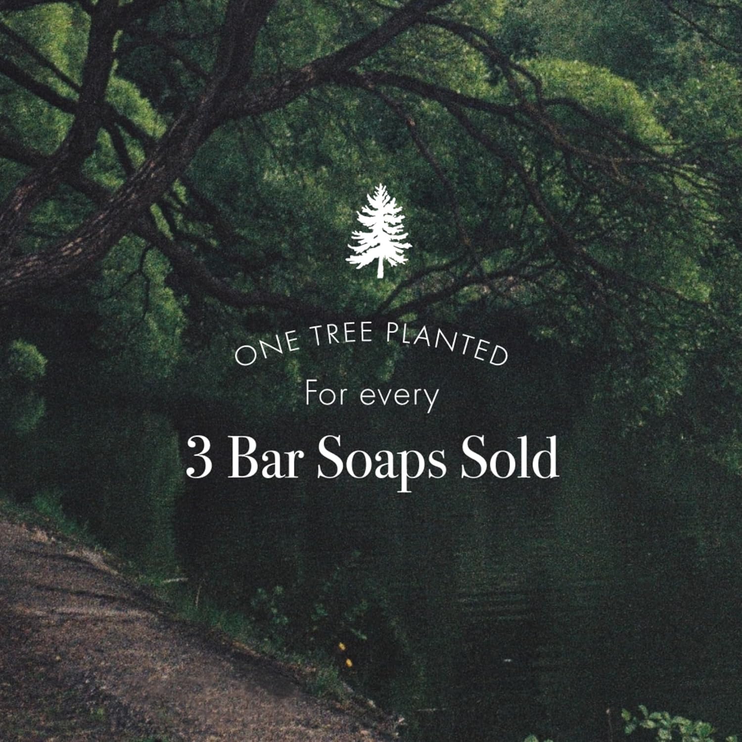 Lafco New York Bar Soap, Retreat - 7 Oz - Ultra-Hydrating, Natural Formula - All Skin Types - Made In Europe : Beauty & Personal Care