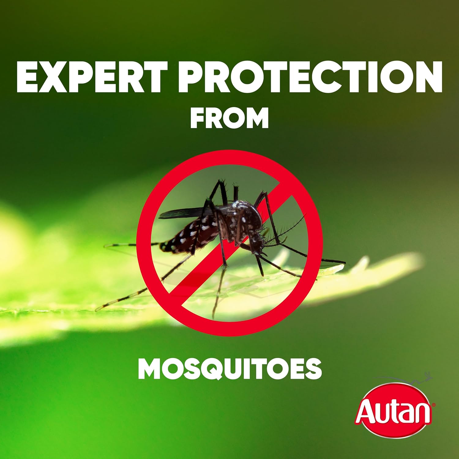 Autan Active Mosquito & Insect Repellent Spray, Travel Essentials, DEET Formula, Up to 6 Hours Protection against Mosquitoes, 100 ml : Amazon.co.uk: Grocery