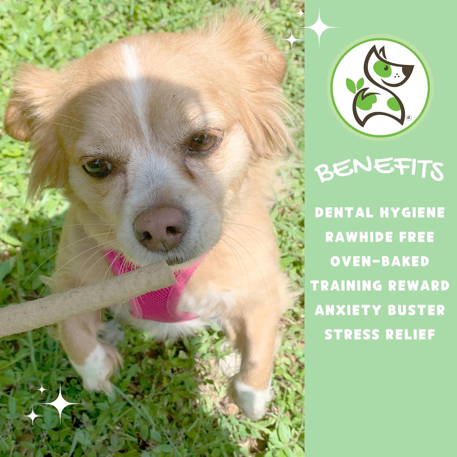 Nature Gnaws - Chew Sticks for Dogs - Premium Natural Dog Treats - Limited Ingredient Long Lasting Rawhide Free Dental Chews - 1lb : Pet Supplies