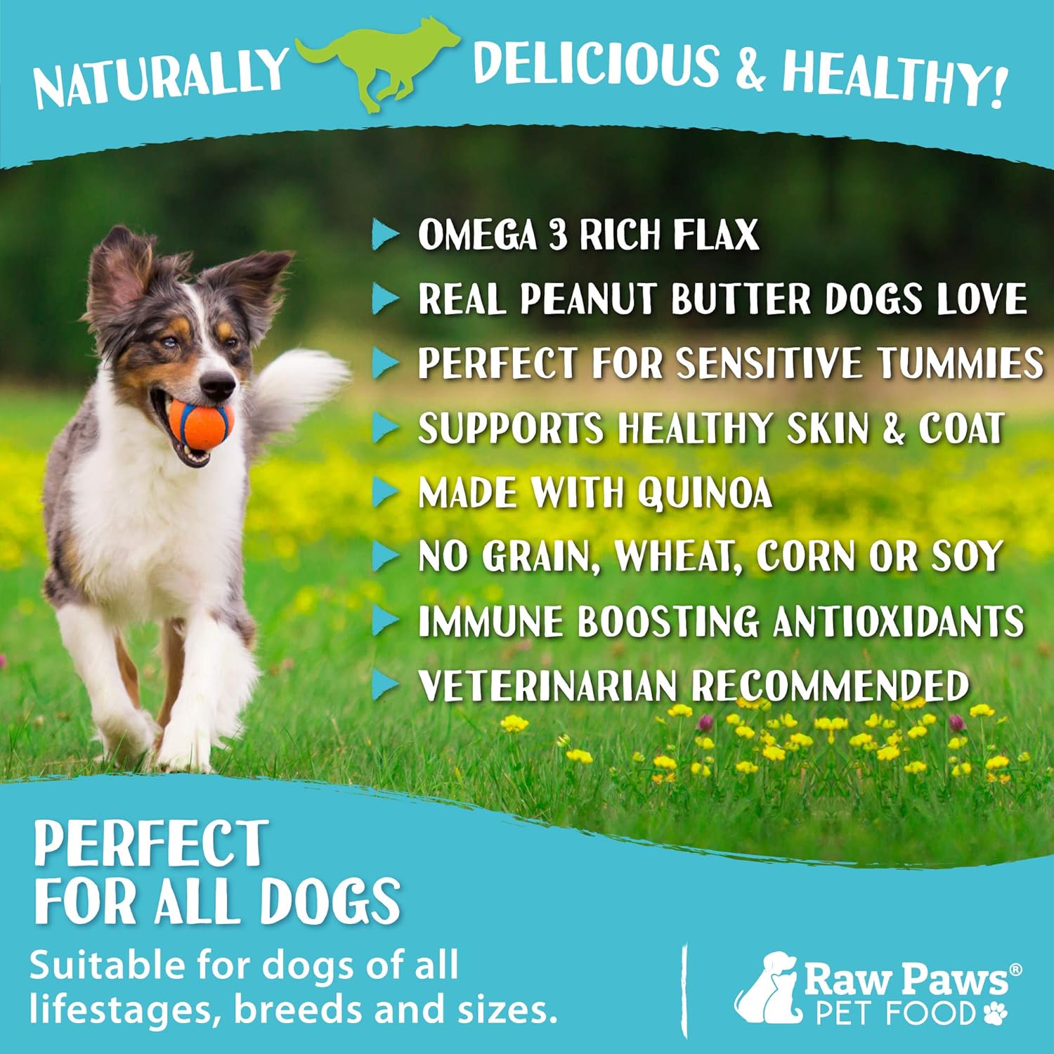 Raw Paws Grain-Free Biscuits for Dogs - Peanut Butter Recipe, 10-oz - Crunchy Dog Treats Made in USA - Corn, Wheat & Soy Free PB Dog Treats - Heart Shaped Puppy Biscuits - Peanut Butter Dog Biscuits : Pet Supplies