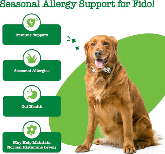 Zesty Paws Dog Allergy Relief - Anti Itch Supplement - Omega 3 Probiotics for Dogs - Salmon Oil Digestive Health - Soft Chews for Skin & Seasonal Allergies - with Epicor Pets – Hemp - 90 Count…
