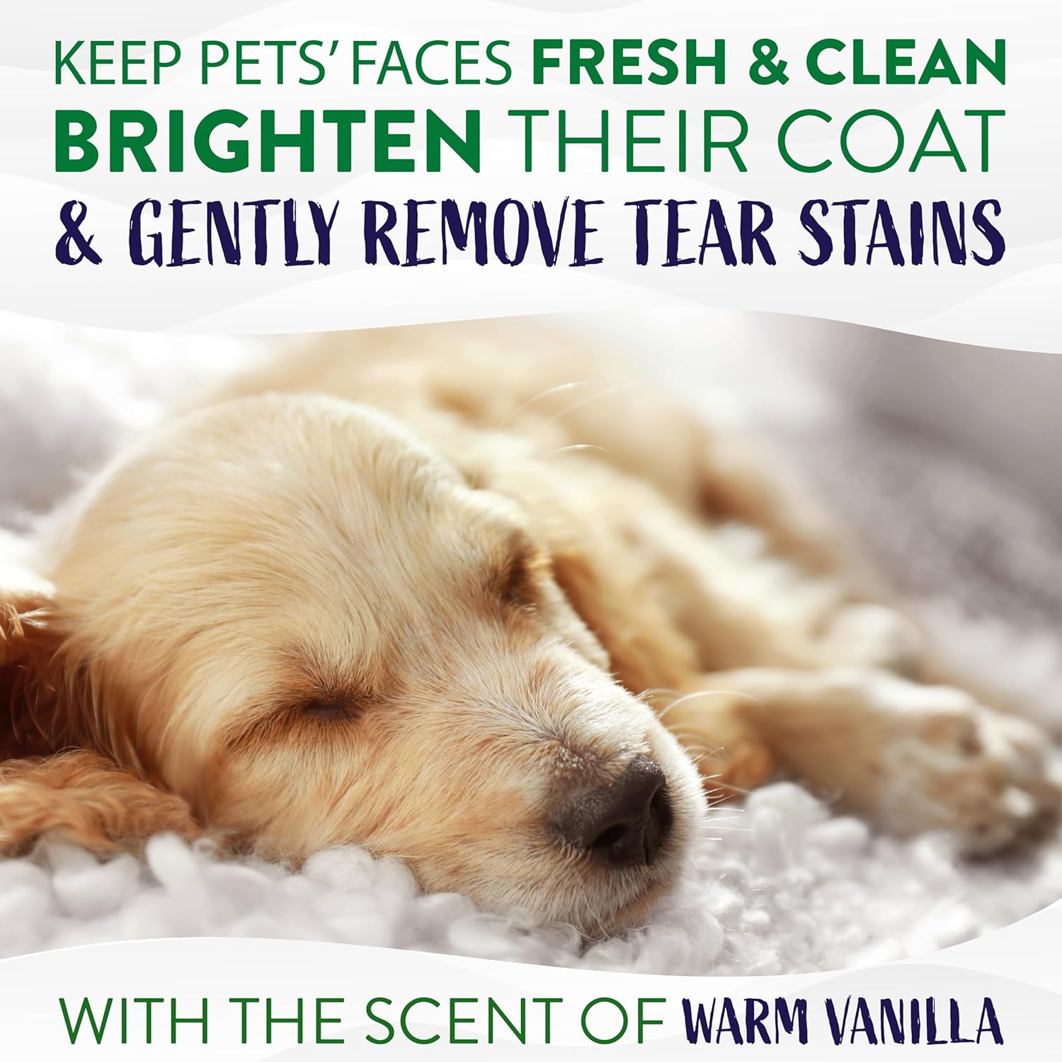 TropiClean Warm Vanilla Tear Stain Remover for Dogs | Tearless Blueberry Facial for Dogs | Ideal for White Dogs & All Other Coats | Cat Friendly | Made in the USA | 8 oz. : Pet Supplies