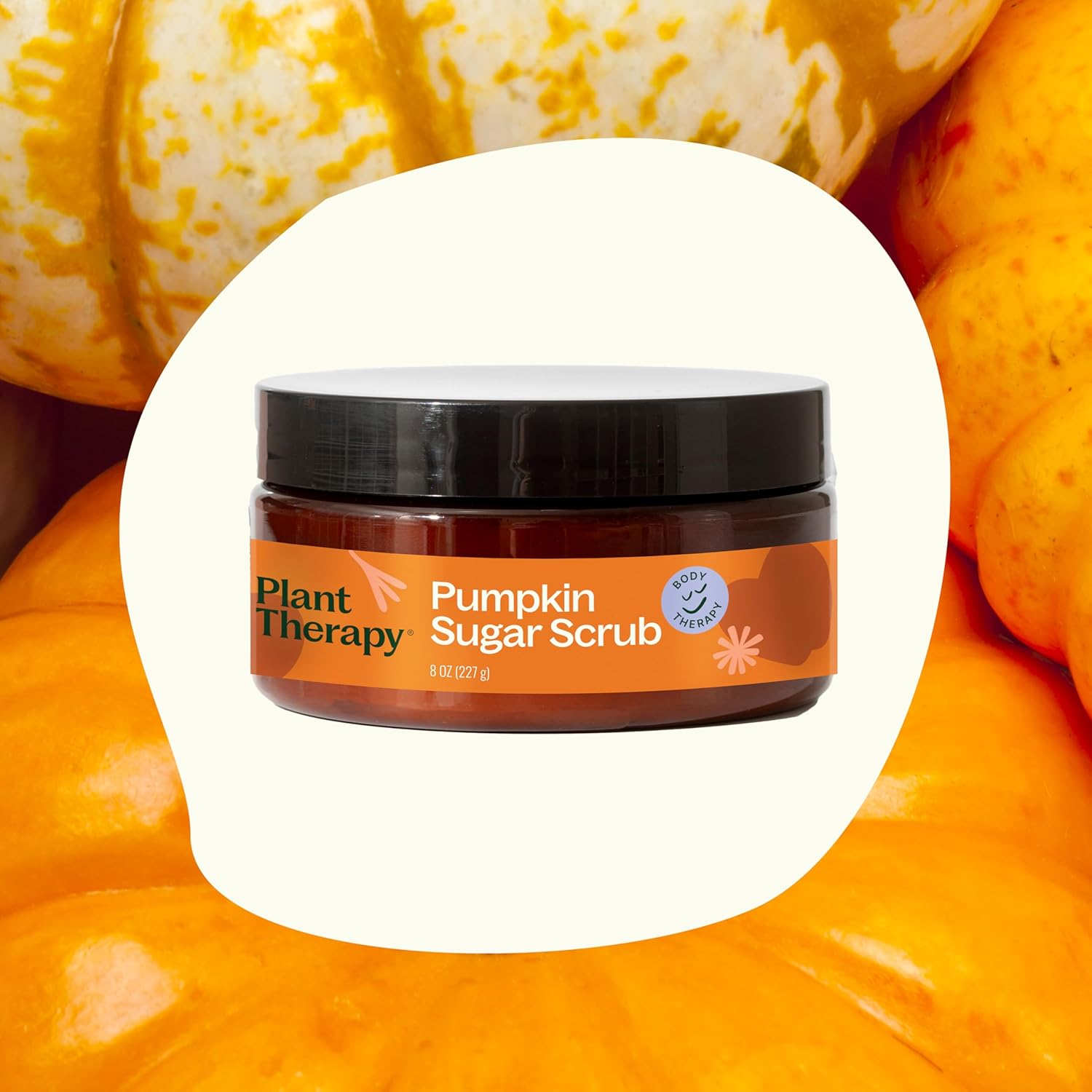 Plant Therapy Pumpkin Sugar Scrub 8 oz Gently Polishes & Rejuvenates Skin, Classic Fall Scent, Helps Boost Circulation : Beauty & Personal Care