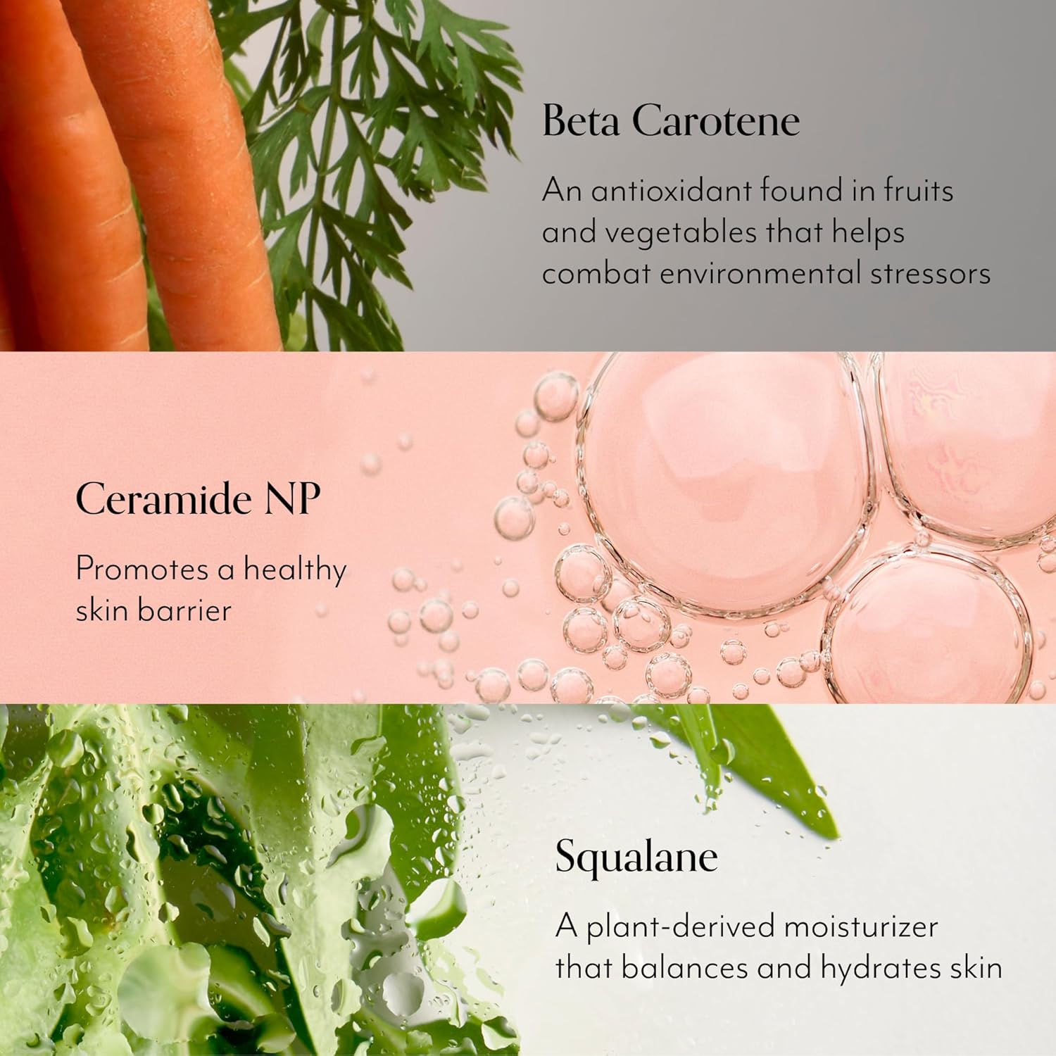 Bliss Mighty Biome Probiotic Nourishing Moisturizer | Ultra-Hydrating With Squalane & Coconut Oil | Strengthens Skin Barrier | 2 Oz : Beauty & Personal Care