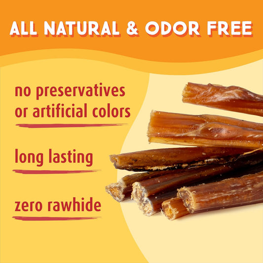 Ultra Chewy 6-Inch Odor Free Bully Stick 25 Pack: Best Bully Sticks For Small To Large Dogs - Top Choice Treats Sticks For A Healthy Chew - Fully Digestible - Rawhide Free
