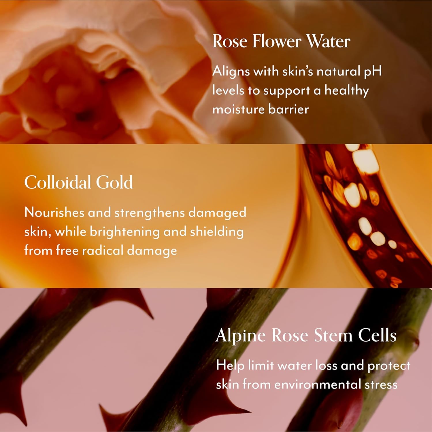 Bliss Rose Gold Rescue Gentle Moisturizer For Sensitive Skin | Fragrance-Free, Calming Daily Hydration With Rose Water & Colloidal Gold| 1.7 Oz : Beauty & Personal Care